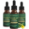 VERDEVITALIS Mullein Leaf Tincture with Elderberry, 4 fl oz, 1 can, 60 ml / VERDEVITALIS 엘더베리 함유 뮬레인 잎 팅크 4 액량 온스, 1개, 60ml
