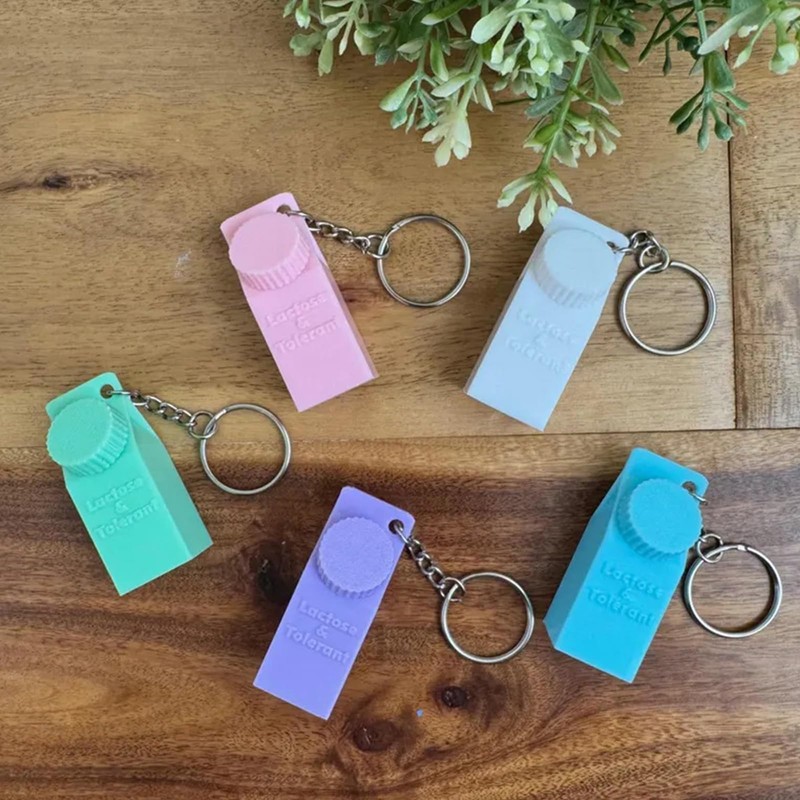Mini Milk Carton Holder Keychain, Lactose and Tolerant Pill Holder,