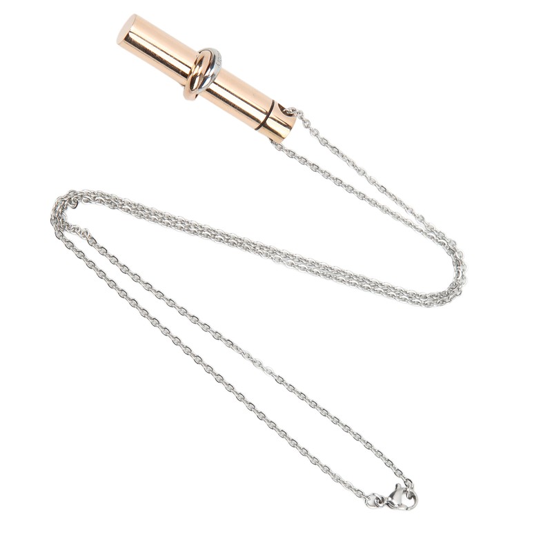 Ashes Necklace 316L Stainless Steel Oxidation Resistant Memorial Cremation Jewelry