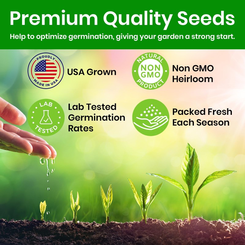 Lettuce Seeds for Planting, Red Romaine Lettuce, Bibb Butter Lettuce,