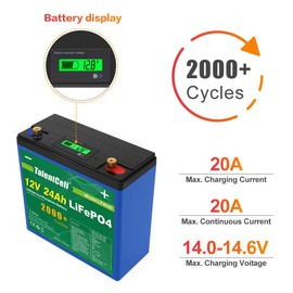 TalentCell 12V 24Ah LiFePO4 Battery Pack LF4040, 12.8V 288Wh Deep Cycle Rechargeable Lithium Iron Phosphate Batteries