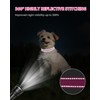 Joytale Small Dog Collar, Reflective and Adjustable Nylon Collar with