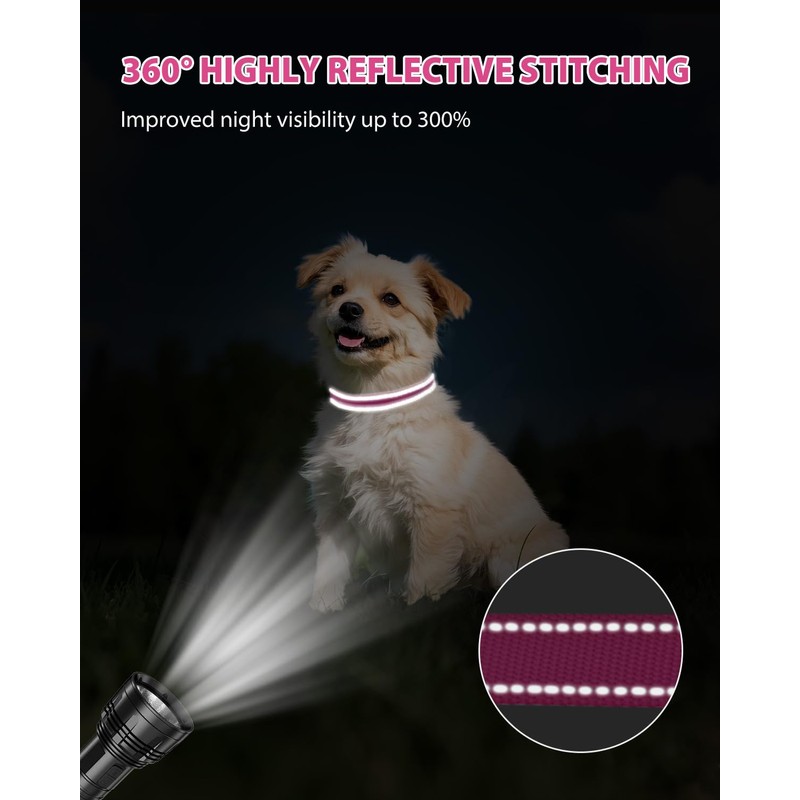 Joytale Small Dog Collar, Reflective and Adjustable Nylon Collar with