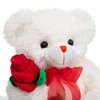 HollyHOME - Oso de peluche (30,5 cm), diseño de oso