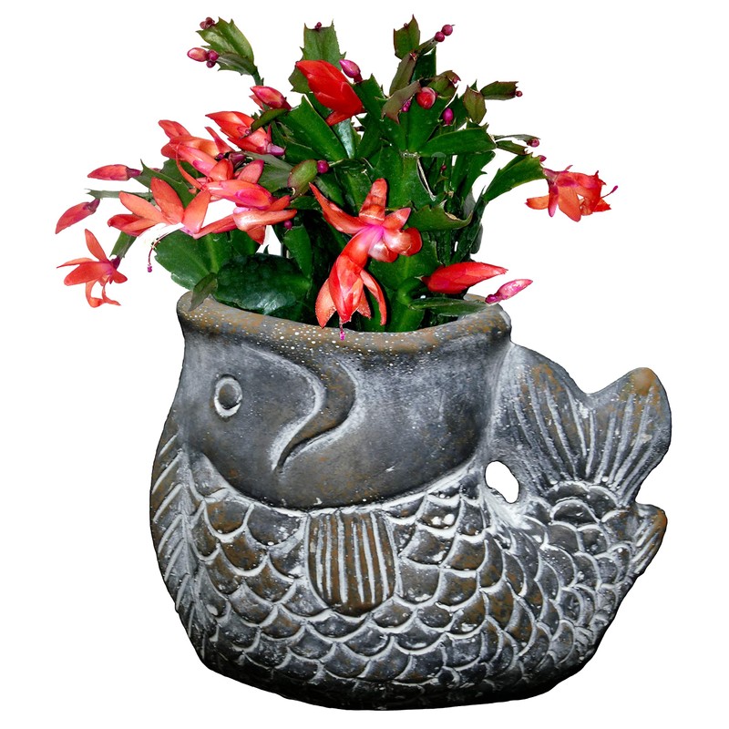 Classic Home and Garden Cement Buddies Animal Planter - Cute