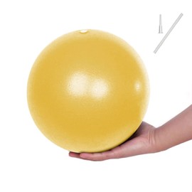 Fsadwnn Exercise Ball Small,Pilates Ball 9 Inch Core Ball,Small Exercise Ball with Pump,Barre Ball,Mini Bender Ball, Pilates, Yoga, Workout, Bender, Core Training and Physical Therapy