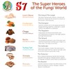Fantastic Fungi Super 7 mushroom extract powder - Fantastic Fungi?
