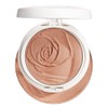 Physicians Formula Rosé All Day Set & Glow Highlighter Face