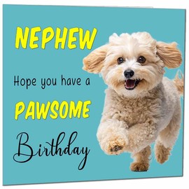 Nephew Birthday Card for Men Women Dog Pawsome Birthday Cards for Nephew