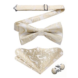 HISDERN Bow Tie Pre tied Mens Beige Paisley Bow Ties & Pocket Square Set with Cufflinks Wedding Party Bowties Handkerchief Cuff Links Gifts for Men,Beige