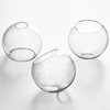 3 Pack Fixture Replacement Globe Shade, 6 Inch Diameter, E26
