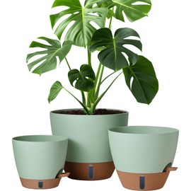 12/10/8 Inch Self Watering Pots for Indoor Plants Plastic Large Plant Pot for Outdoor Plants, Water Level Window & Spacious Reservoir Flower Pots Decorative Planter with Drainage and Tray (Green)