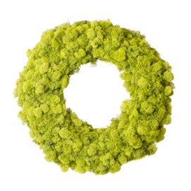SuperMoss (25189) Luxurious Lush Reindeer Moss Wreath - Handcrafted Natural Indoor and Covered Front Door Décor, 12", Chartreuse