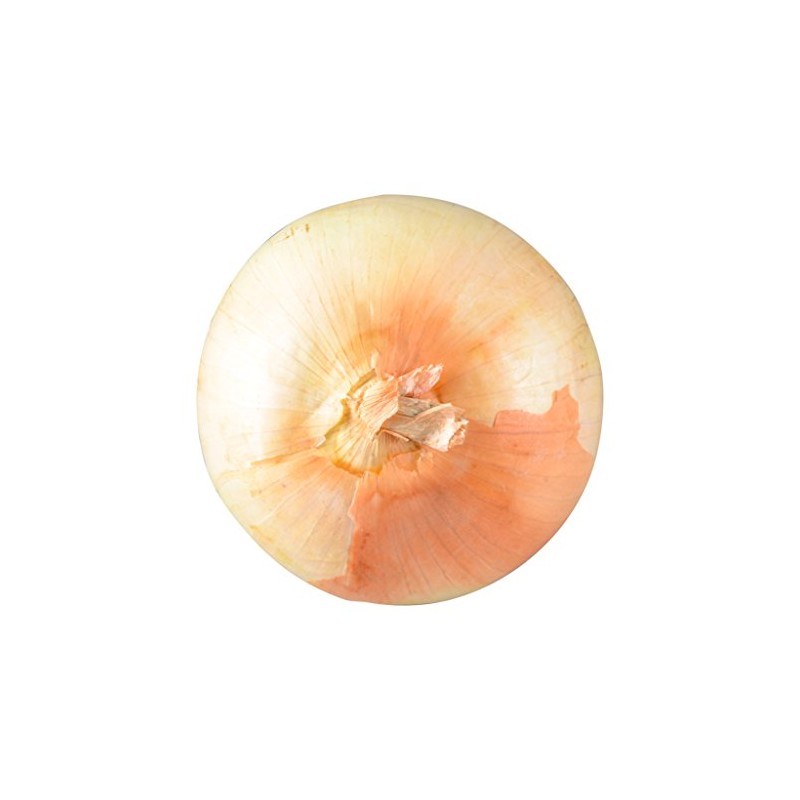 Bristol Farms, Yellow Onion, 1 Count