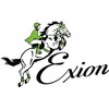 ExionPro Web & Leather Draw Reins | Quick Snaps |