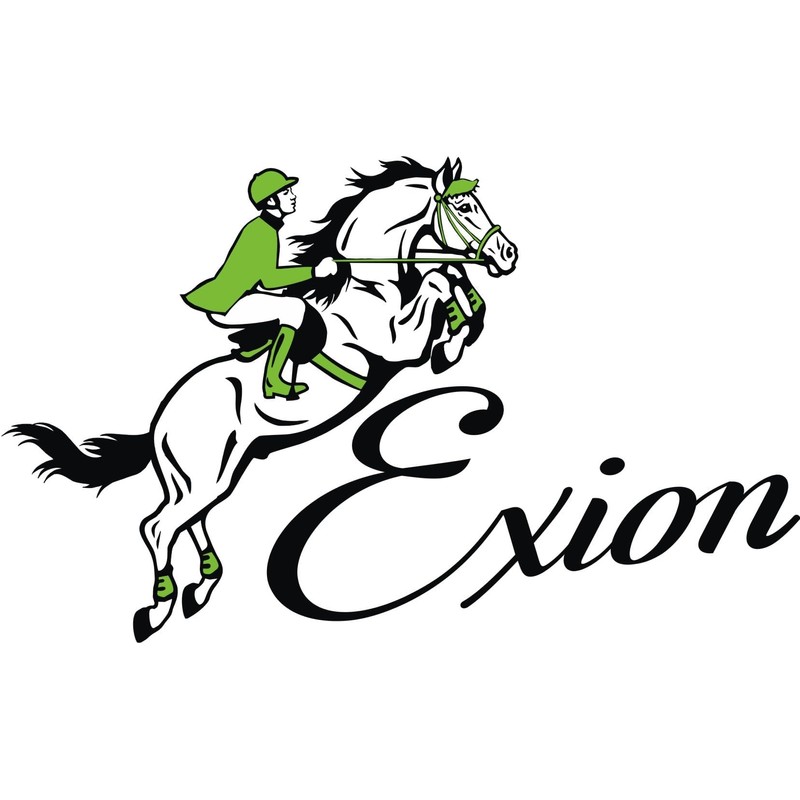 ExionPro Web & Leather Draw Reins | Quick Snaps |