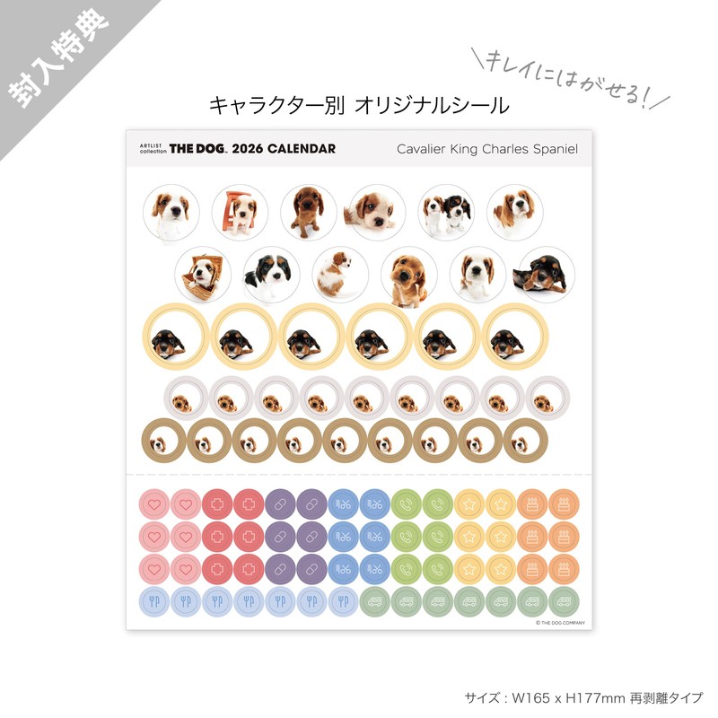 THE DOG 2026 Wall Calendar Large Size (Cavalier King Charles
