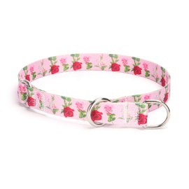 haoyueer Training Dog Collar, No Pull Martingale Collar, Slip Collar with Slidable Stop Ring for Small, Medium, Large Dogs (S, Roses)