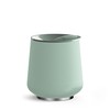 Fellow 12 oz Ruby Wine Tumbler (Mint Chip)