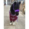 Equipride Horse Print Faux Lined Nylon Headcollars With Matching Lead