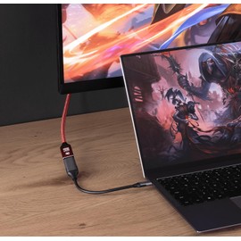 Reagle USB-C to DisplayPort Adapter 4K 60Hz - 7.1 Surround Sound, DTS-HD, 3D Audio, Aluminium Housing, Plug & Play, Compatible with Mac and Windows (Single-sided Operation)