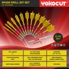 Spade Drill Bit Set, 13pcs Paddle Bits in SAE, 1/4