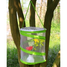 RESTCLOUD RESTCLOUD Pop-up Insect and Butterfly Habitat Cage Terrarium Clear Mesh Enclosure, See Through Easier 9" x 11" Tall