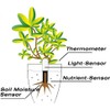 4-in-1 Plant Moisture Meter Watering Indicator, Intelligent Soil Tester Automatically