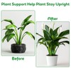 Moguri Set of 4 Climbing Plant Supports, Plant Clips and