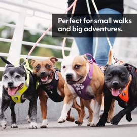 Hurtta Weekend Warrior Dog Harness for Large Dogs, Neon Yellow, 80-100 cm