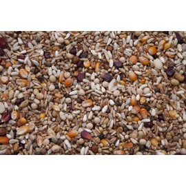 High Energy Pigeon Mix (16%) 20 lbs