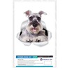 Winston & Bear Super Schnauzer Dog Wall Decals - 2