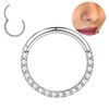 Medinah 16G Titanium Nose Piercing Septum Piercing - Universal Hinge