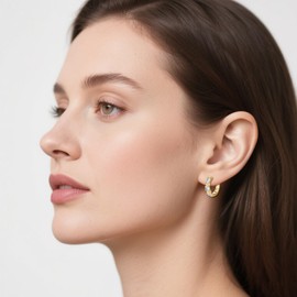 Soumimi Crystal Huggie Hoop Earrings for Women, Lightweight Chunky Earrings for Women 18K Gold Plated Hoops Earrings Hypoallergenic Earrings Jewelry Gift for Mom Wife