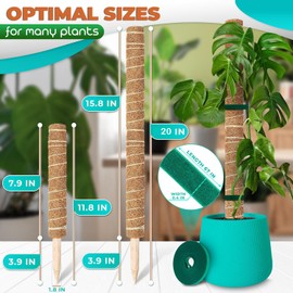 2 Pack Moss Pole Monstera Plant Support 20 inch - Plant Pole 2 Pack 12 inch with 67 inch Garden Twist Ties - Moss Poles for Climbing Plants Monstera Coconut Fiber for Plants Stakes Moss Coco Pole