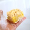 Primal Elements Tahitian Vanilla SpongeBar Soap (Pack of 2)