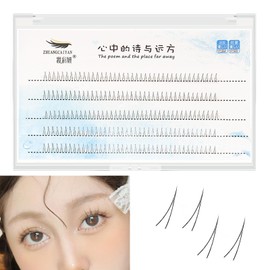 ISHR Lower Eyelashes, Partial False Eyelashes, V Shape, Lower False Eyelashes, 0.2 - 0.3 inches (5 - 6 - 7 mm), Large Capacity, Natural, Matsueku, Popular, DIY, Reusable, Thin Makeup, Everyday Use,