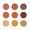 kukubird 9 Colour Neutral Shimmer Matte Pigmented Long Lasting Eyeshadow