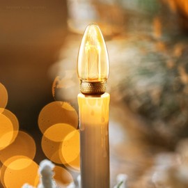 TORCHSTAR Vintage Edison Candelabra Light Bulbs, UL Listed, LED Chandelier Light Bulbs Dimmable, C11 LED Filament Candle Bulb, 2.3W(8W Eqv.), 65lm, 110-130V, Amber Glass, 2000K Soft Warm