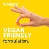 Vegan High Strength Turmeric Gummies with Ginger by Wellgard –