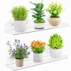 Lifewit 15" Acrylic Window Plant Shelves, 2-Pack Suction Cup Shelf