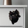 Black Cat Decal - Wall Hole Sticker with 3D Effect