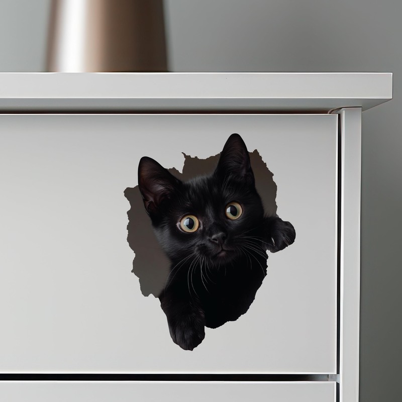 Black Cat Decal - Wall Hole Sticker with 3D Effect