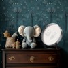 Your Design Footprint Set Metal Box: Plaster Cast Set with