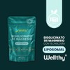 Wellthy Bisglicinato Magnesio Liposomal Cápsulas Entrega Optimizada Mas Alta Biodisponibilidad