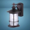 Patriot Lighting 13" Oil Rubbed Bronze Outdoor Wall Light Clear