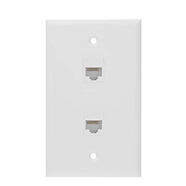 Ethernet Wall Plate, 2 Port Cat 6 RJ45 Keystone Female to Female Wall Plate Compatible with Cat7/6/6e/5/5e Ethernet Devices(2 x Screws Included)
