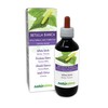 White Birch (Betula pendula, alba or verrucosa) Leaves Alcohol-Free Mother