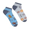Spox Sox Low Unisex Multicoloured Trainer Socks for Individualists, Cats