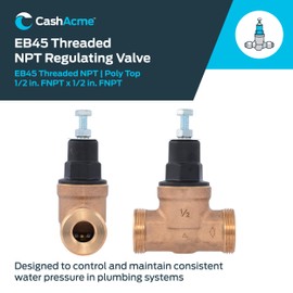 Cash Acme EB45 Pressure Regulating Valve, 1/2 Inch NPT Threaded, Poly Top, 60 PSI, PVA08P-DTH-60